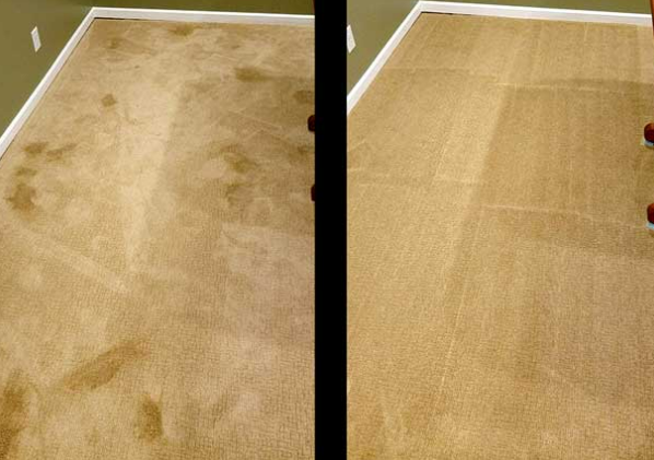 Before and After Carpet Cleaning